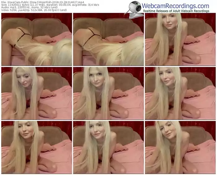 xlovecam-moonfish-webcam-show-03_28_2018-01_46_27