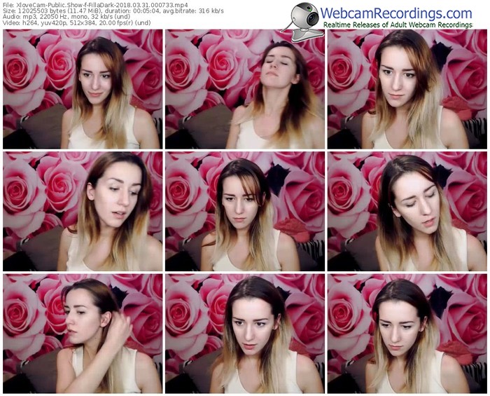 xlovecam-filladark-webcam-show-03_31_2018-00_07_33