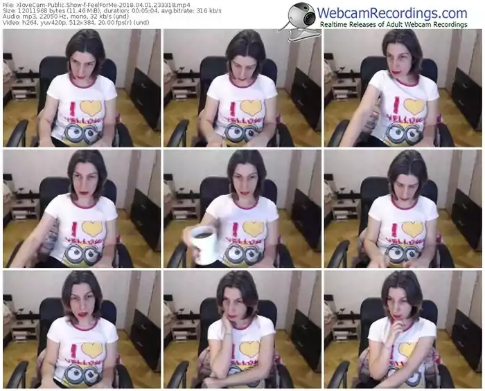 xlovecam-feelforme-webcam-show-04_01_2018-23_33_18