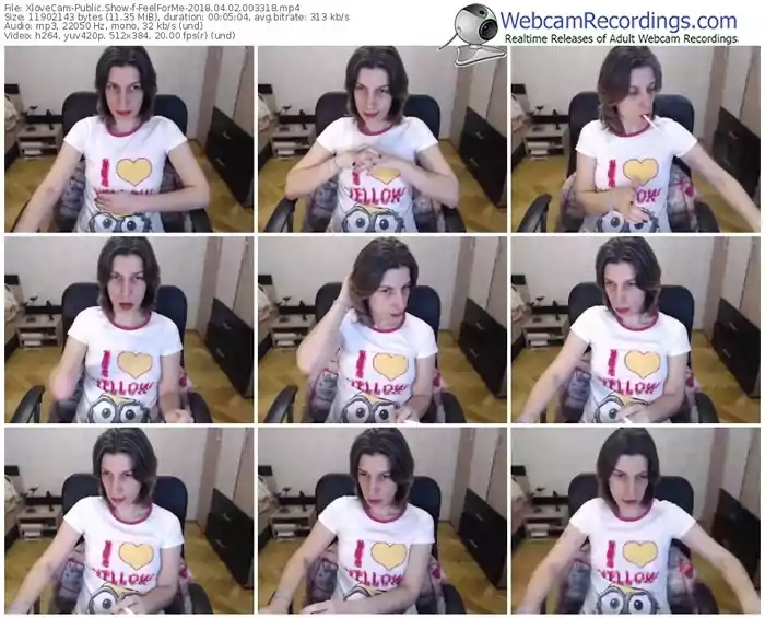 xlovecam-feelforme-webcam-show-04_02_2018-00_33_18