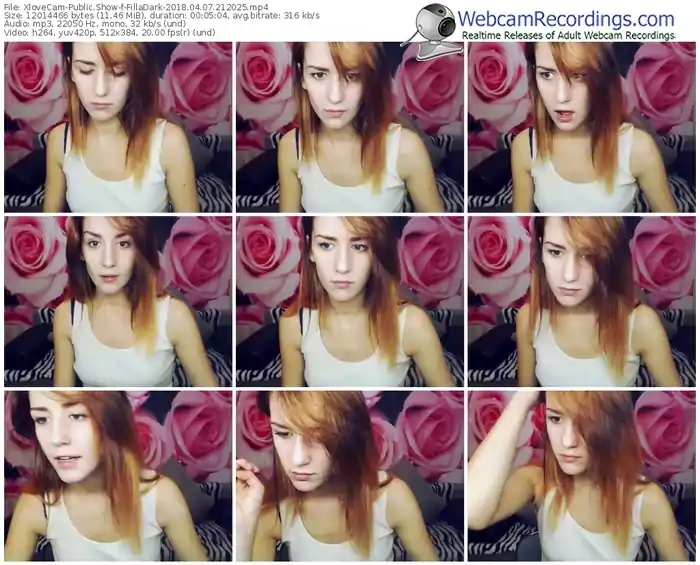 xlovecam-filladark-webcam-show-04_07_2018-21_20_25