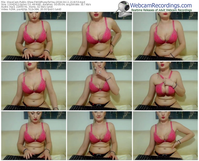 xlovecam-wildpussyforyou-webcam-show-04_11_2018-21_41_53