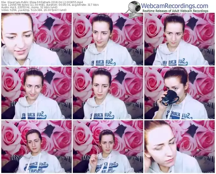 xlovecam-filladark-webcam-show-04_12_2018-00_36_55