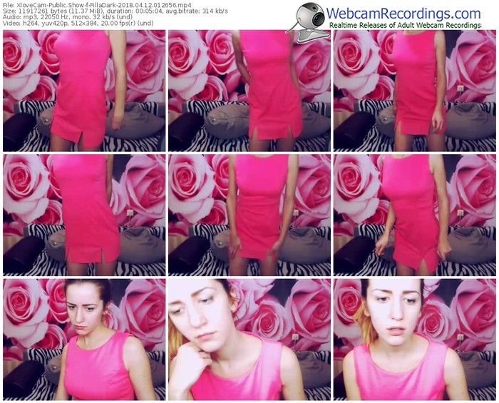 xlovecam-filladark-webcam-show-04_12_2018-01_26_56