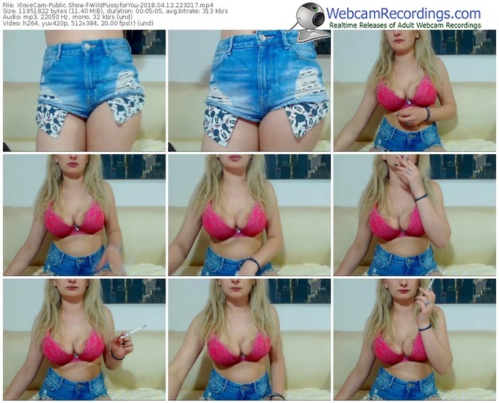 xlovecam-wildpussyforyou-webcam-show-04_12_2018-22_32_17