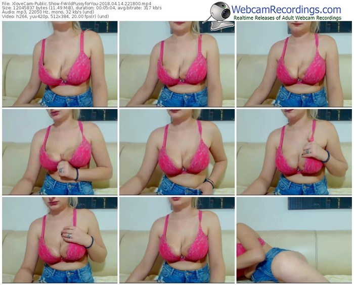xlovecam-wildpussyforyou-webcam-show-04_14_2018-22_18_00