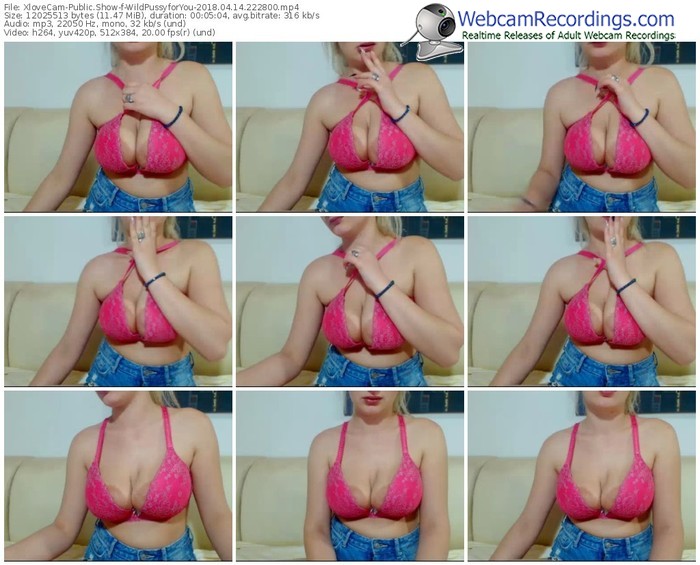 xlovecam-wildpussyforyou-webcam-show-04_14_2018-22_28_00