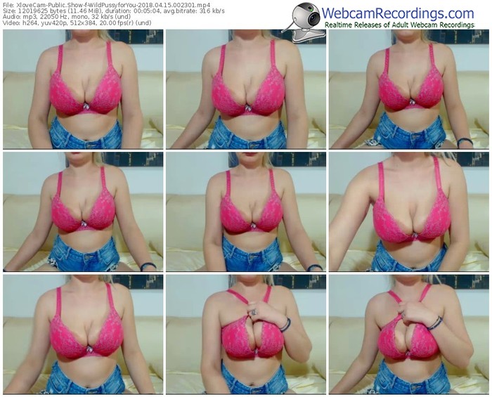 xlovecam-wildpussyforyou-webcam-show-04_15_2018-00_23_01