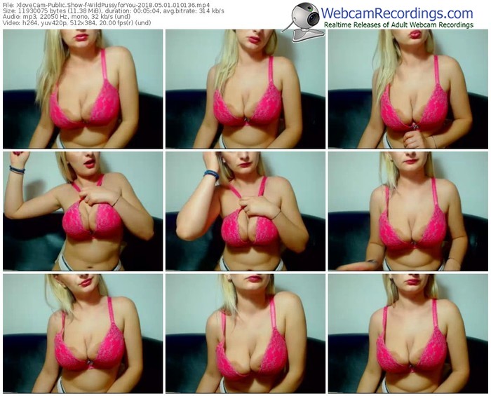 xlovecam-wildpussyforyou-webcam-show-05_01_2018-01_01_36