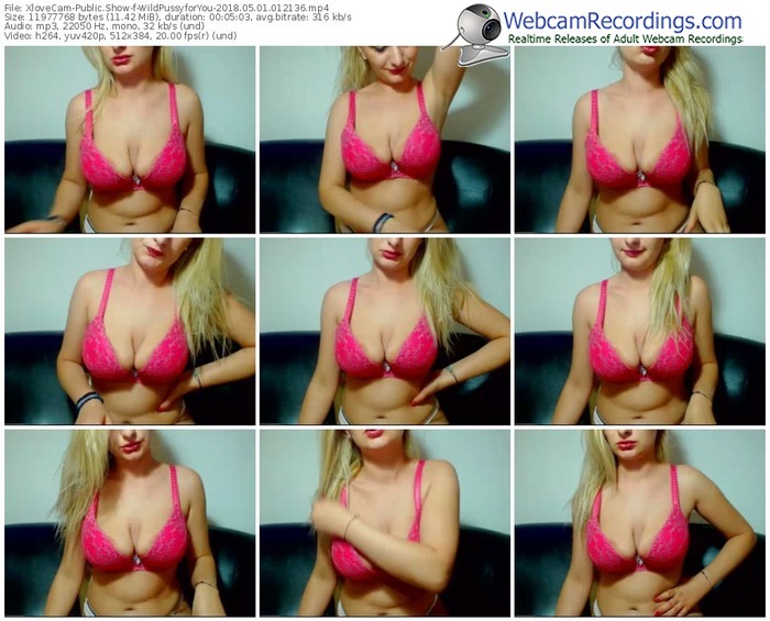 xlovecam-wildpussyforyou-webcam-show-05_01_2018-01_21_36