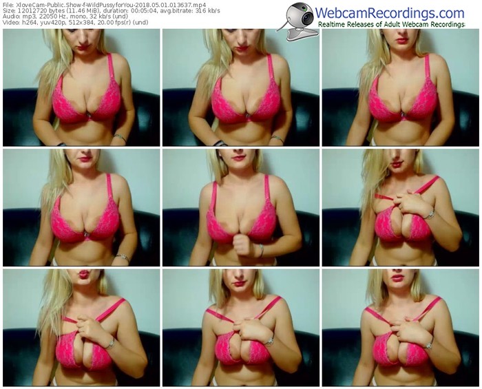 xlovecam-wildpussyforyou-webcam-show-05_01_2018-01_36_37