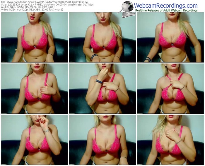 xlovecam-wildpussyforyou-webcam-show-05_01_2018-02_06_37