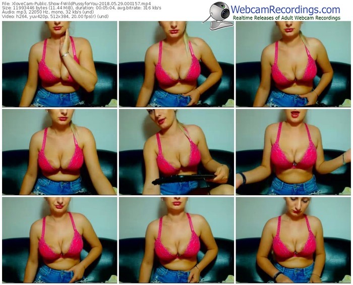 xlovecam-wildpussyforyou-webcam-show-05_29_2018-00_01_57