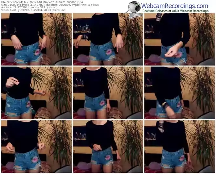 xlovecam-filladark-webcam-show-06_01_2018-00_58_05