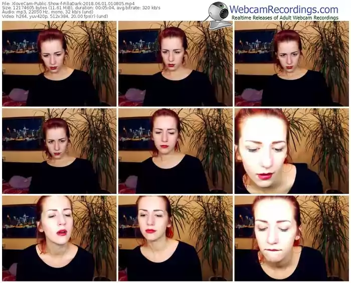 xlovecam-filladark-webcam-show-06_01_2018-01_08_05