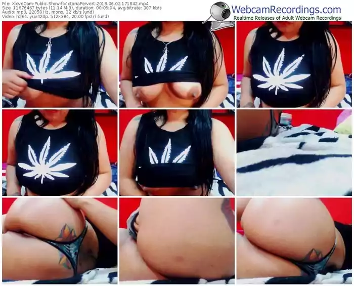 xlovecam-victoriapervert-webcam-show-06_02_2018-17_18_42
