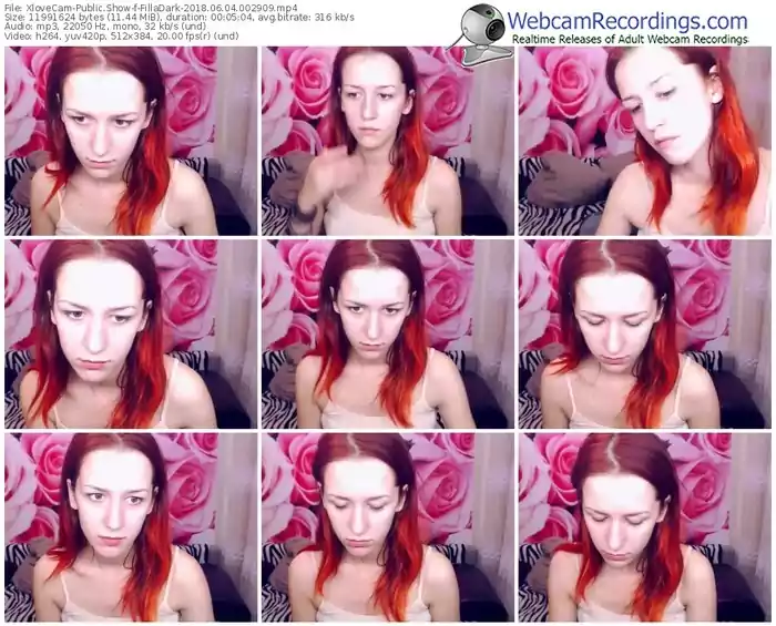 xlovecam-filladark-webcam-show-06_04_2018-00_29_09