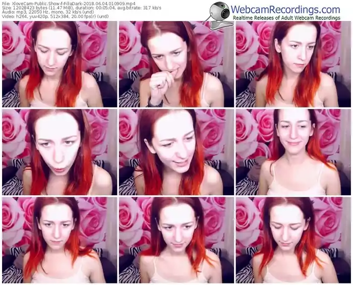 xlovecam-filladark-webcam-show-06_04_2018-01_09_09
