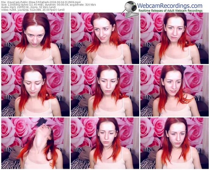 xlovecam-filladark-webcam-show-06_04_2018-01_29_09