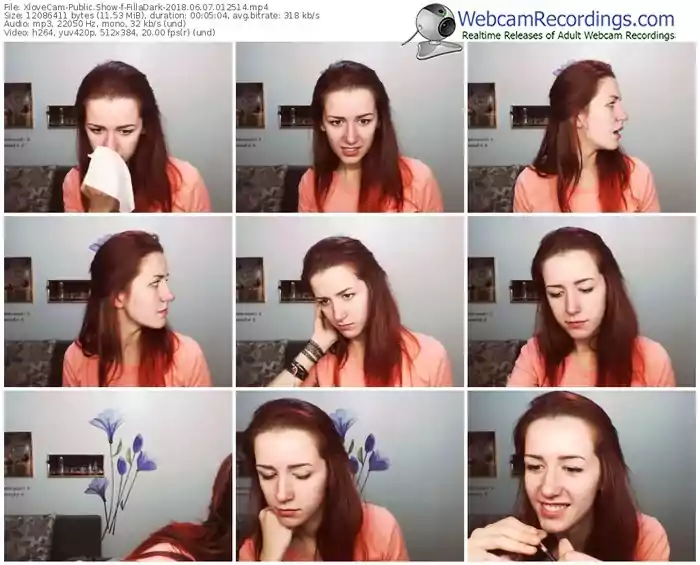 xlovecam-filladark-webcam-show-06_07_2018-01_25_14