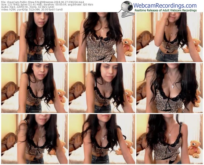 xlovecam-nightbreezee-webcam-show-06_27_2018-03_02_24