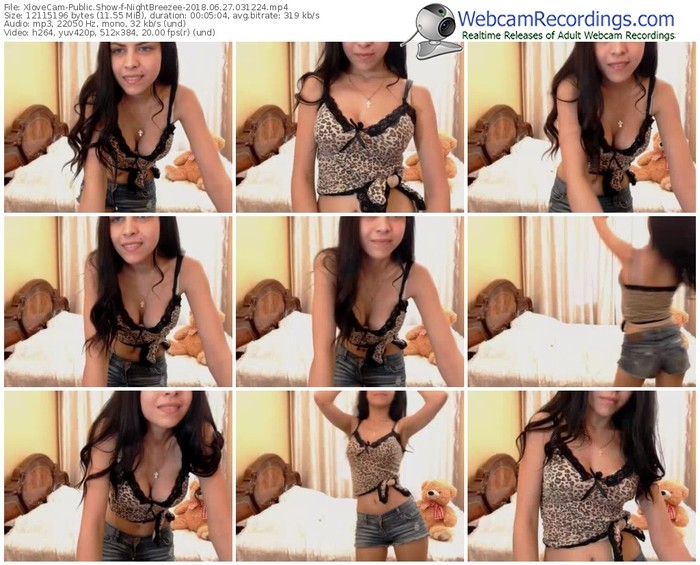 xlovecam-nightbreezee-webcam-show-06_27_2018-03_12_24