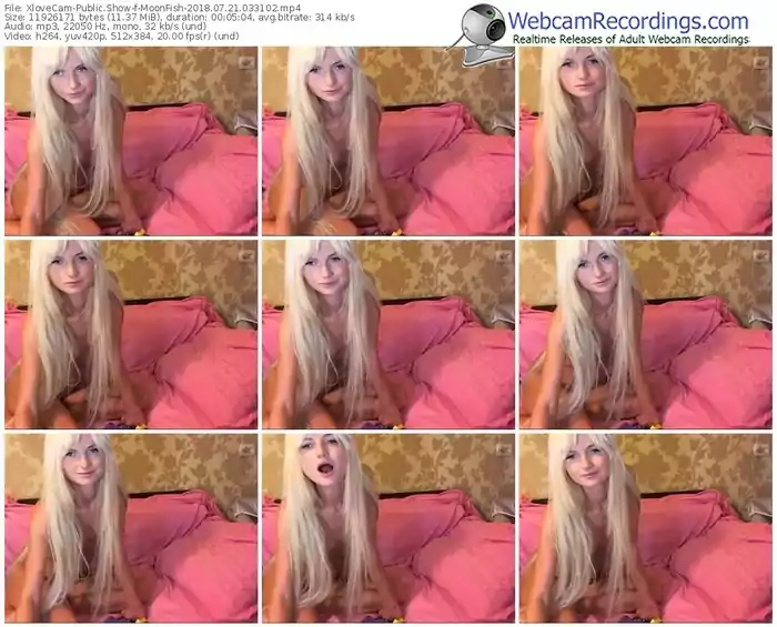 xlovecam-moonfish-webcam-show-07_21_2018-03_31_02