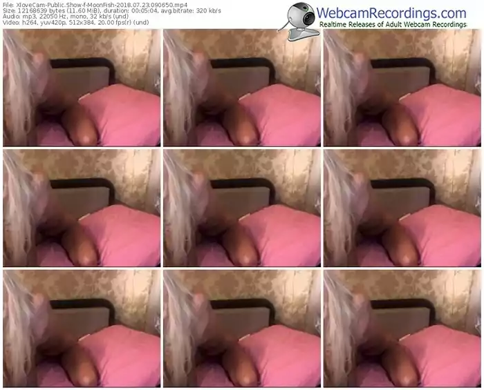 xlovecam-moonfish-webcam-show-07_23_2018-09_06_50