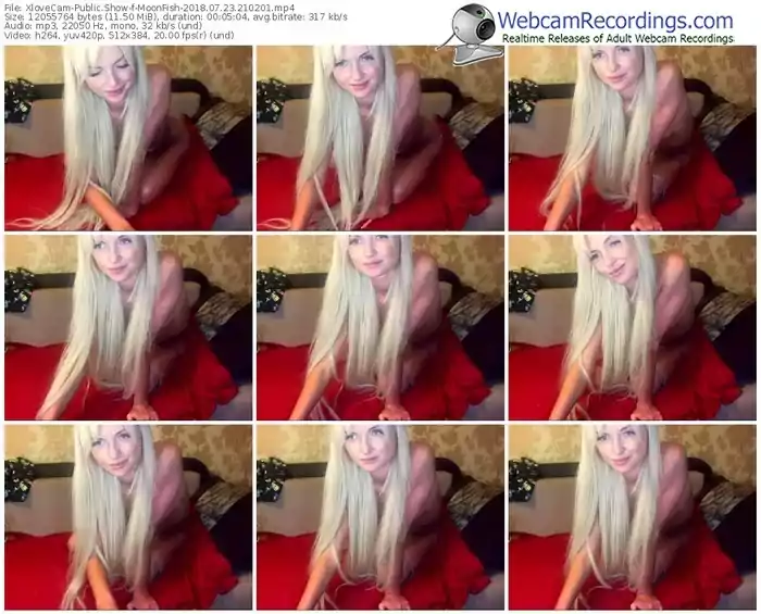 xlovecam-moonfish-webcam-show-07_23_2018-21_02_01