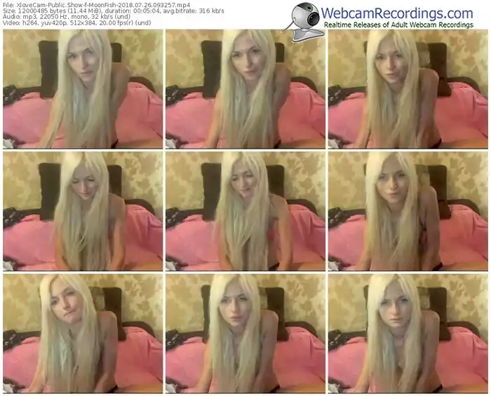 xlovecam-moonfish-webcam-show-07_26_2018-09_32_57