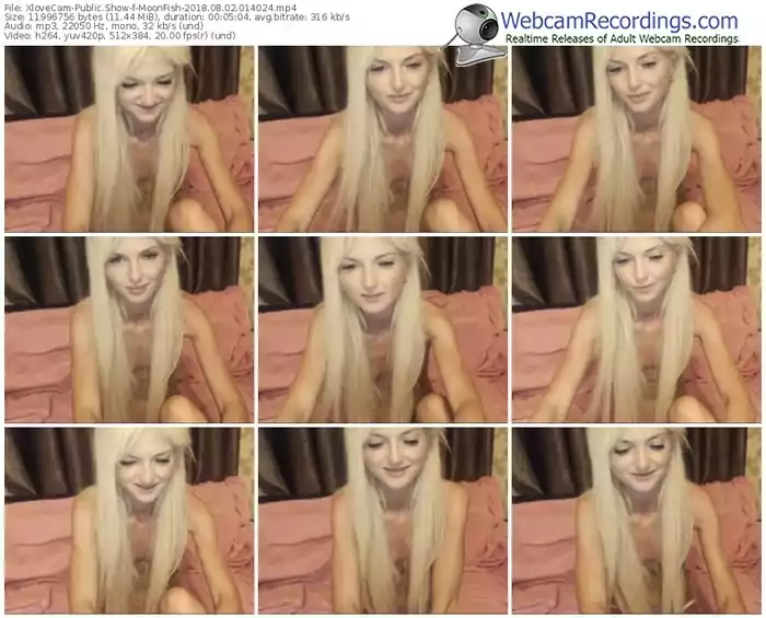 xlovecam-moonfish-webcam-show-08_02_2018-01_40_24