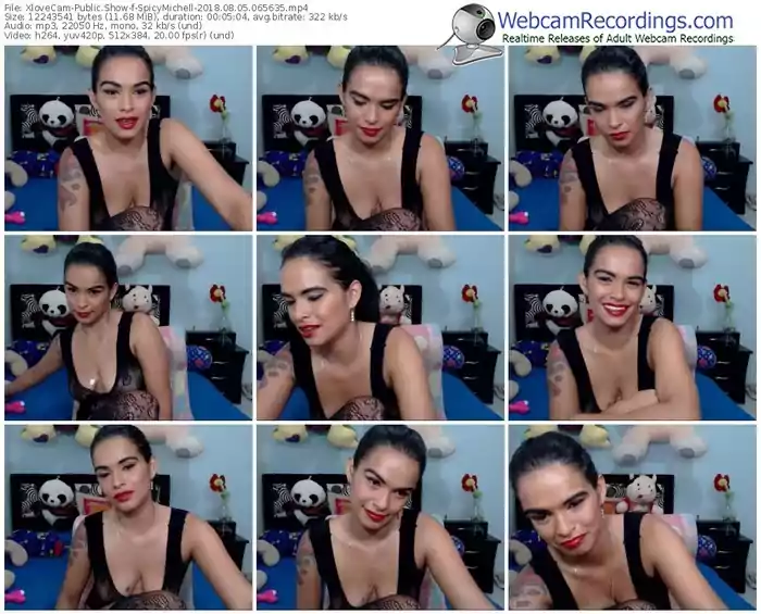 xlovecam-spicymichell-webcam-show-08_05_2018-06_56_35