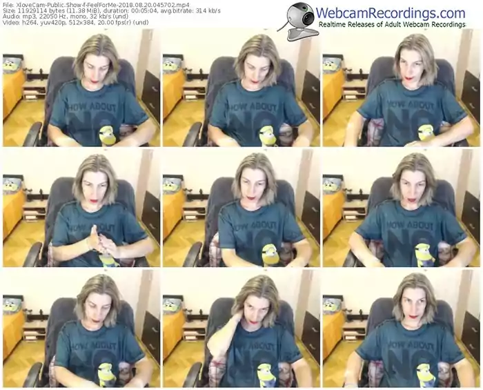 xlovecam-feelforme-webcam-show-08_20_2018-04_57_02