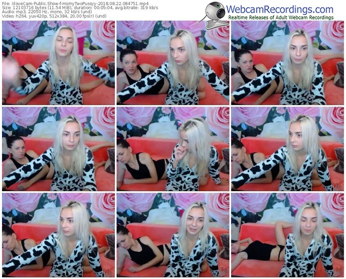 xlovecam-hornytwopussyy-webcam-show-08_22_2018-08_47_51