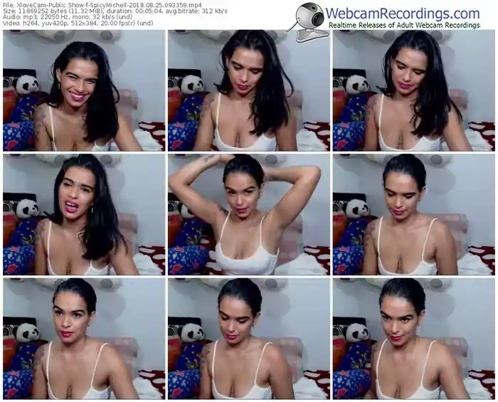 xlovecam-spicymichell-webcam-show-08_25_2018-09_33_59