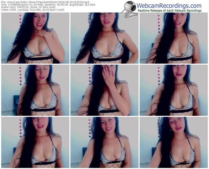 xlovecam-pamelahottestx-webcam-show-08_29_2018-01_25_18