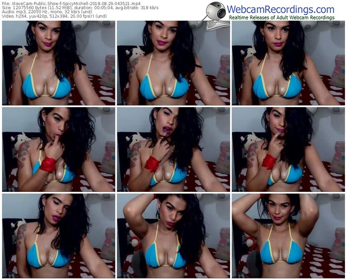 xlovecam-spicymichell-webcam-show-08_29_2018-04_35_21
