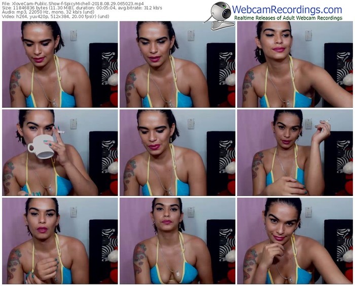 xlovecam-spicymichell-webcam-show-08_29_2018-06_50_23