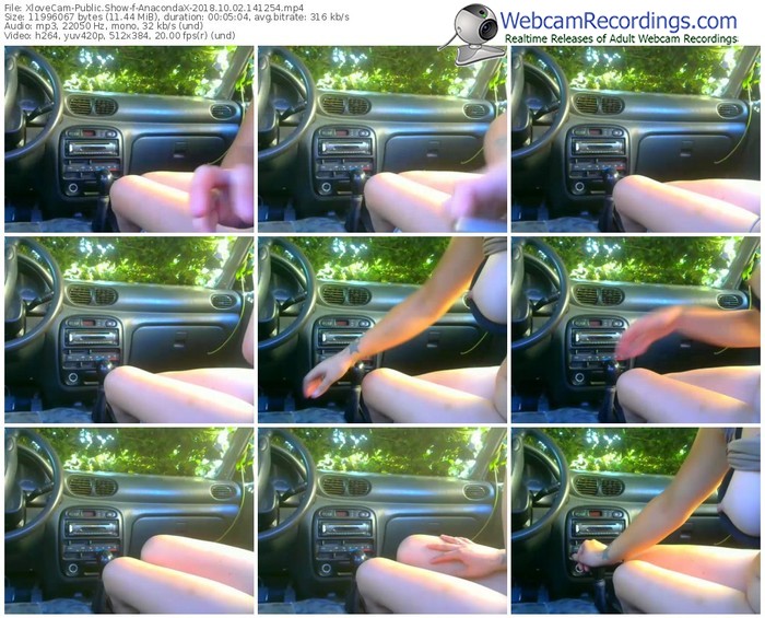 xlovecam-anacondax-webcam-show-10_02_2018-14_12_54