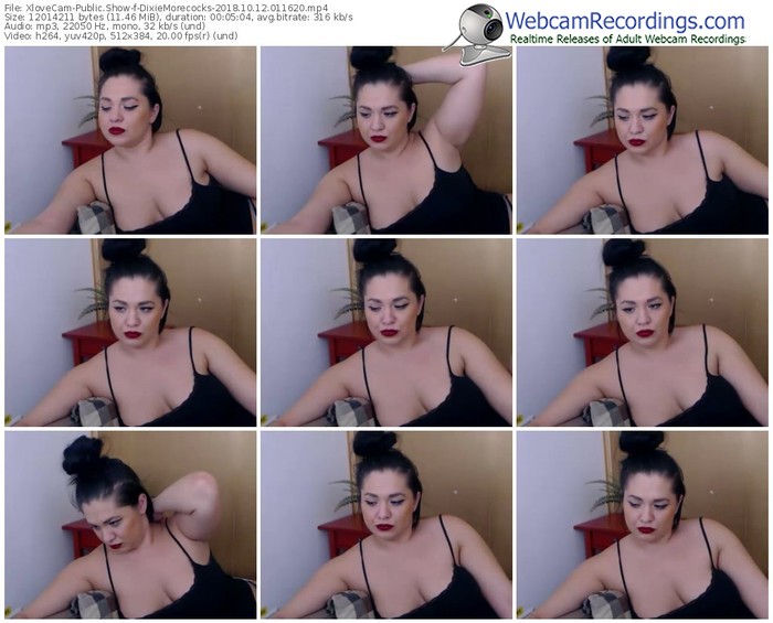 xlovecam-dixiemorecocks-webcam-show-10_12_2018-01_16_20
