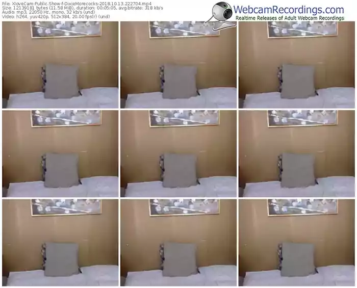 xlovecam-dixiemorecocks-webcam-show-10_13_2018-22_27_04