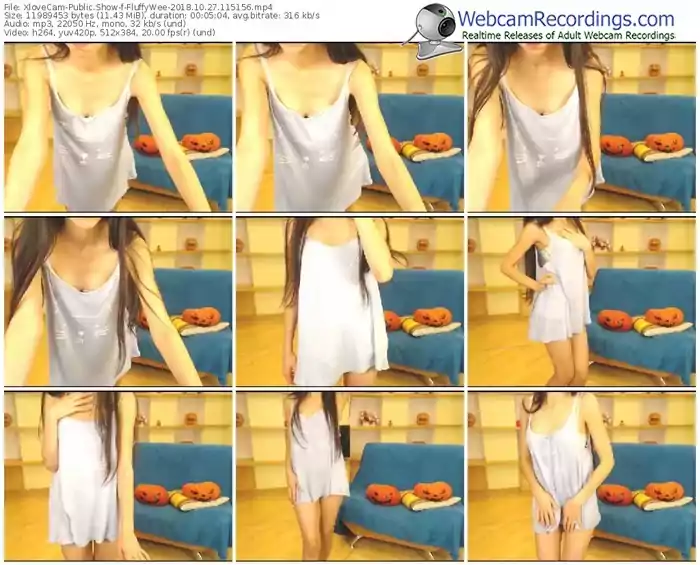 xlovecam-fluffywee-webcam-show-10_27_2018-11_51_56