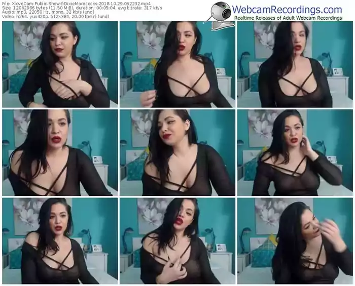 xlovecam-dixiemorecocks-webcam-show-10_29_2018-05_22_32