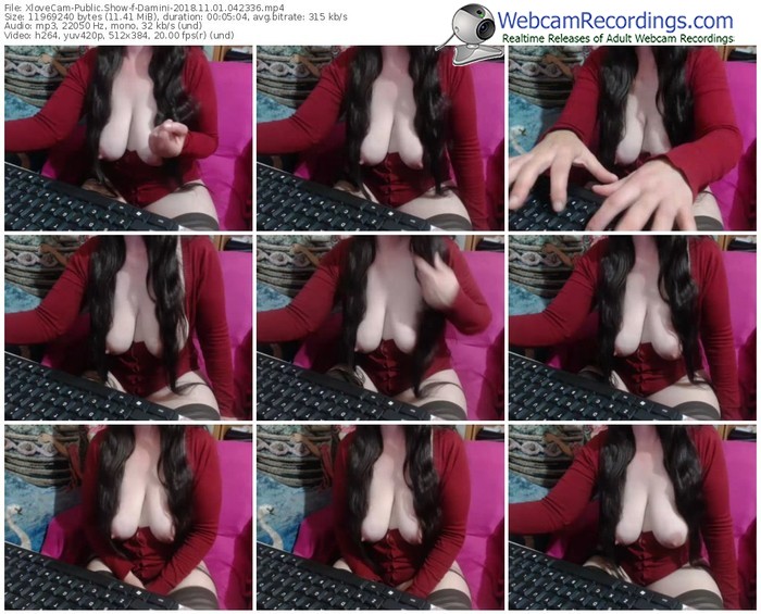 xlovecam-damini-webcam-show-11_01_2018-04_23_36
