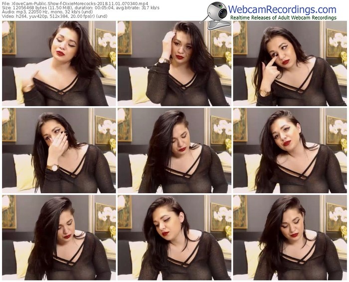 xlovecam-dixiemorecocks-webcam-show-11_01_2018-07_03_40