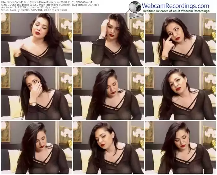 xlovecam-dixiemorecocks-webcam-show-11_01_2018-07_03_40