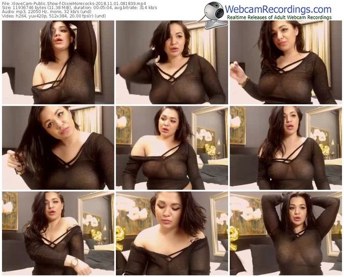 xlovecam-dixiemorecocks-webcam-show-11_01_2018-08_18_39