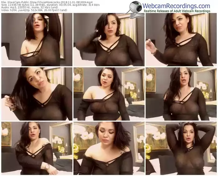 xlovecam-dixiemorecocks-webcam-show-11_01_2018-08_18_39