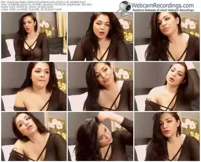 xlovecam-dixiemorecocks-webcam-show-11_01_2018-08_38_40