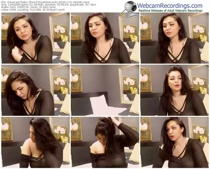 xlovecam-dixiemorecocks-webcam-show-11_01_2018-09_23_41